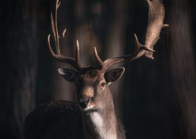 1677625